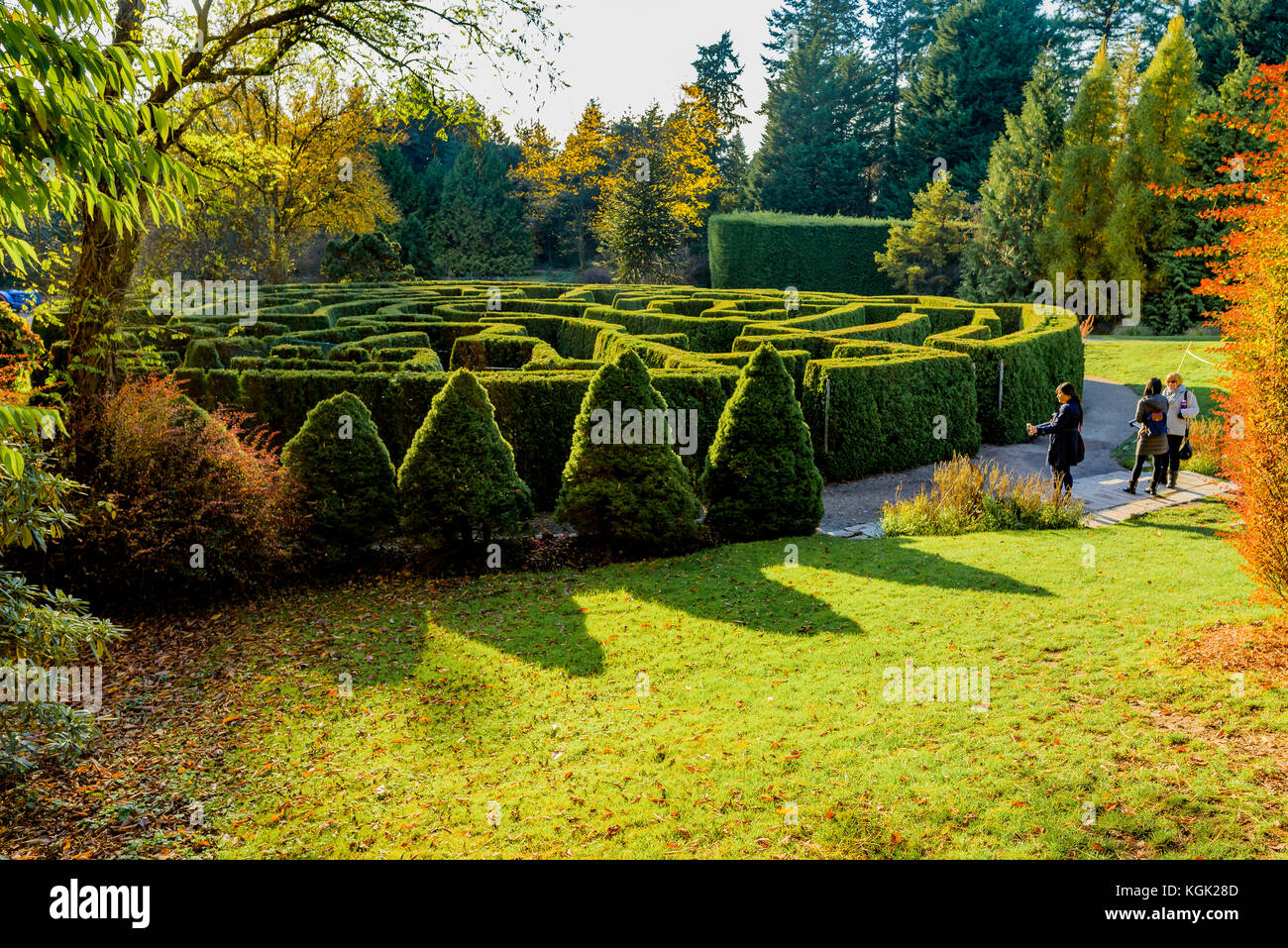 Un labirinto a VanDusen Botanical Garden, Vancouver, British Columbia, Canada. Foto Stock
