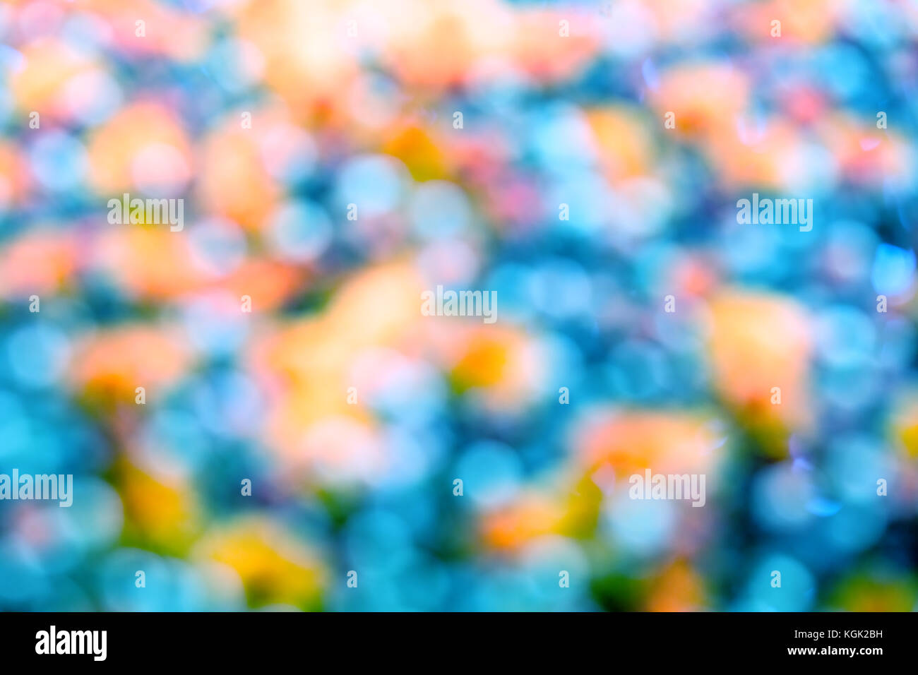 Al di fuori della messa a fuoco naturale bokeh floral background. Sfocata sullo sfondo di fiori. La fioritura dei fiori in un giardino Foto Stock