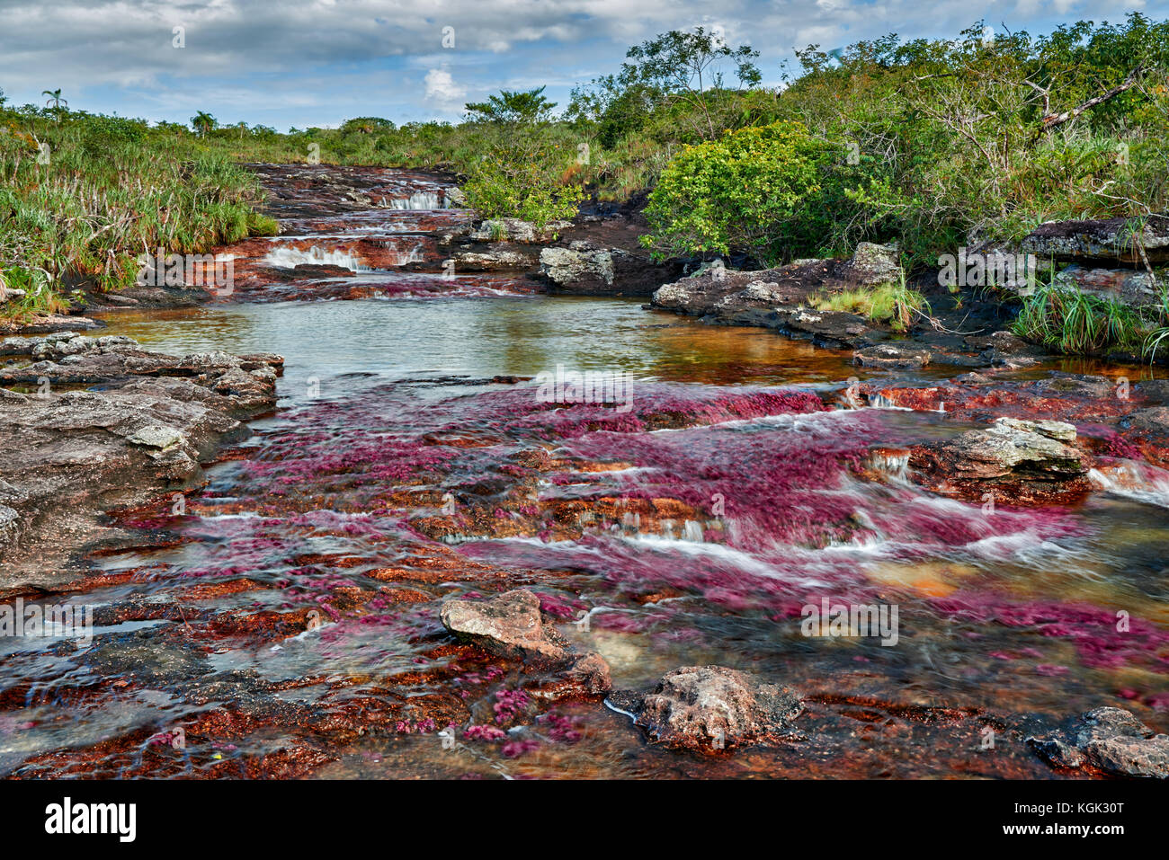 Cano cristalitos vicino cano cristales chiamato 'Fiume di cinque colori' o il 'liquid rainbow", Serrania de la Macarena, la macarena, colombia Foto Stock