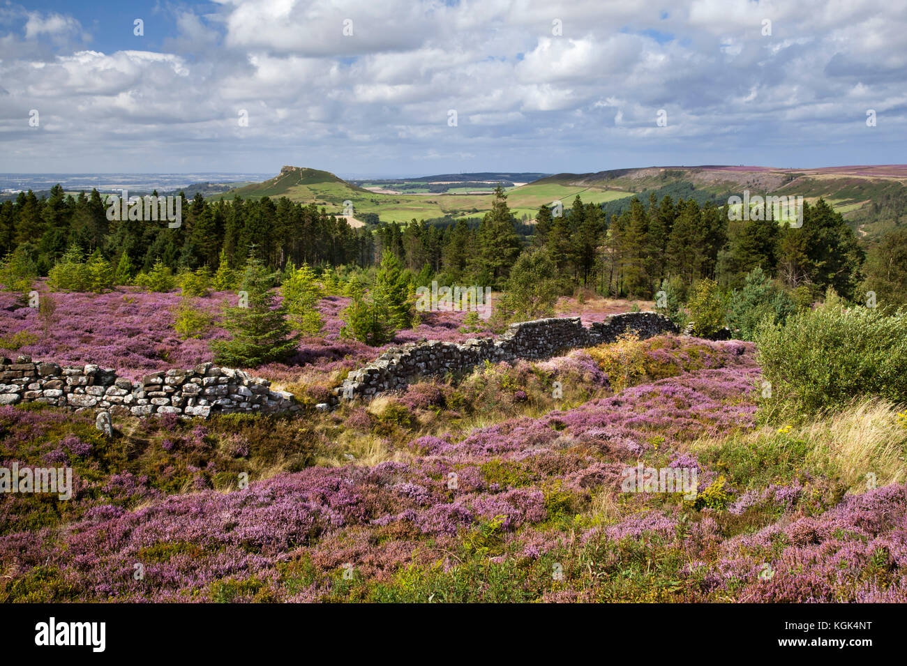 Roseberry topping da easby moor North York Moors National Park North Yorkshire Foto Stock