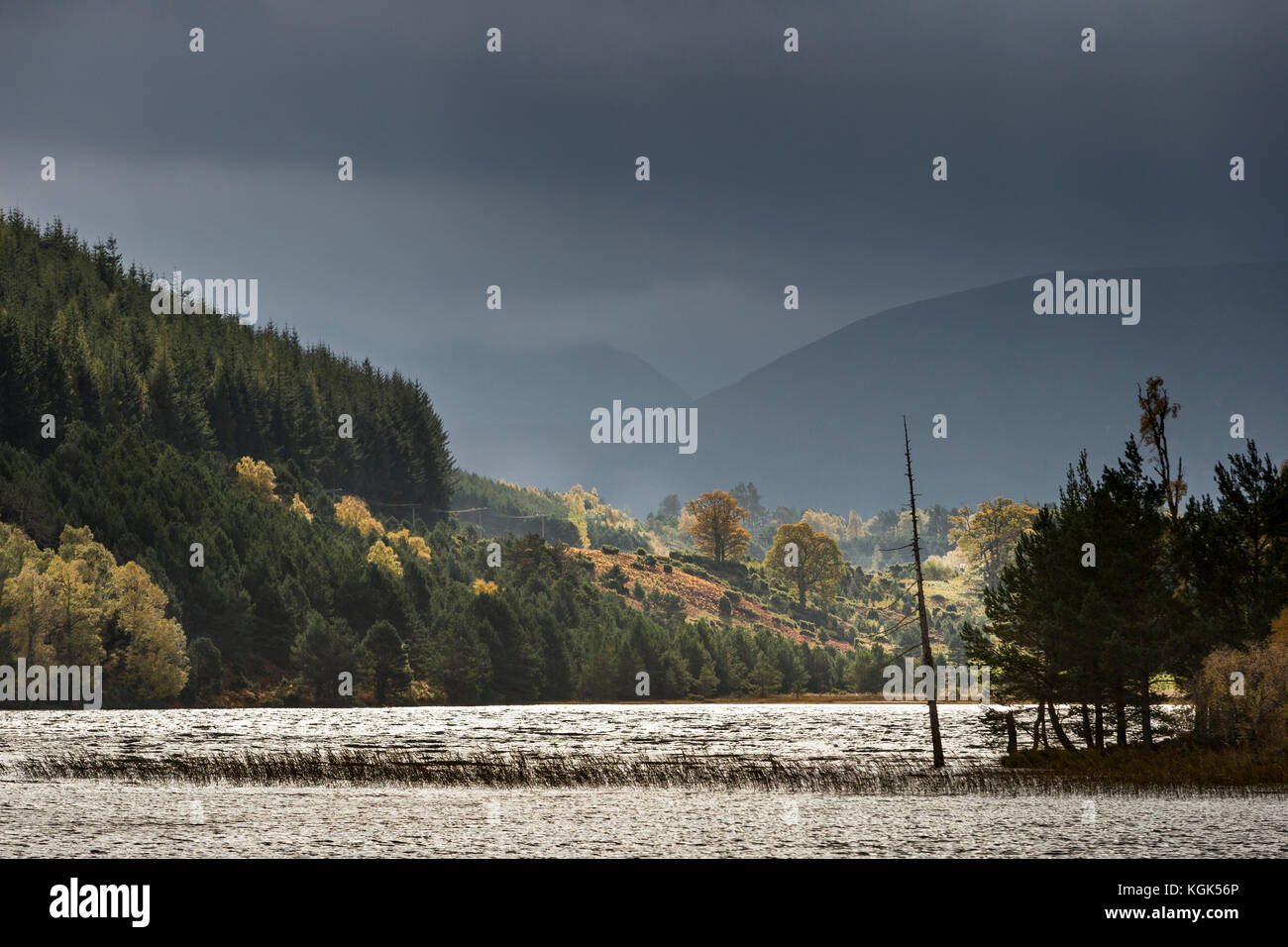 Loch Pityoulish nelle Highlands della Scozia. Foto Stock