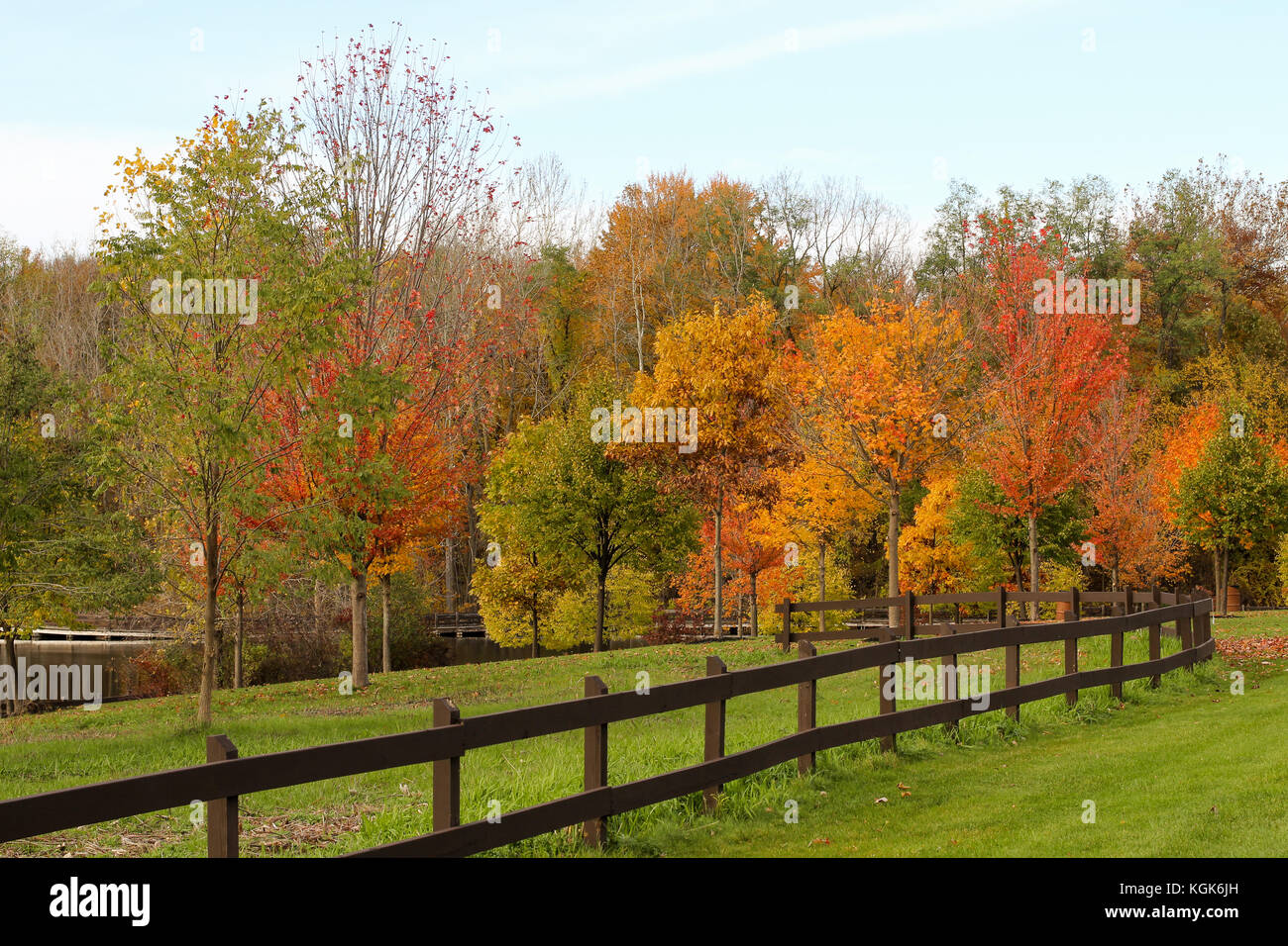 Foglie di autunno e colori su alberi in un parco nel midwestern Stato del Michigan Foto Stock