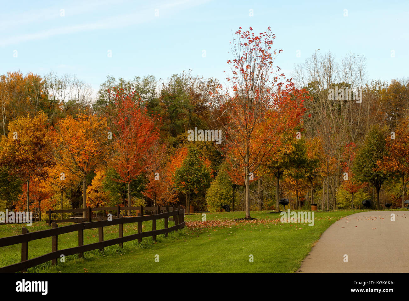 Foglie di autunno e colori su alberi in un parco nel midwestern Stato del Michigan Foto Stock