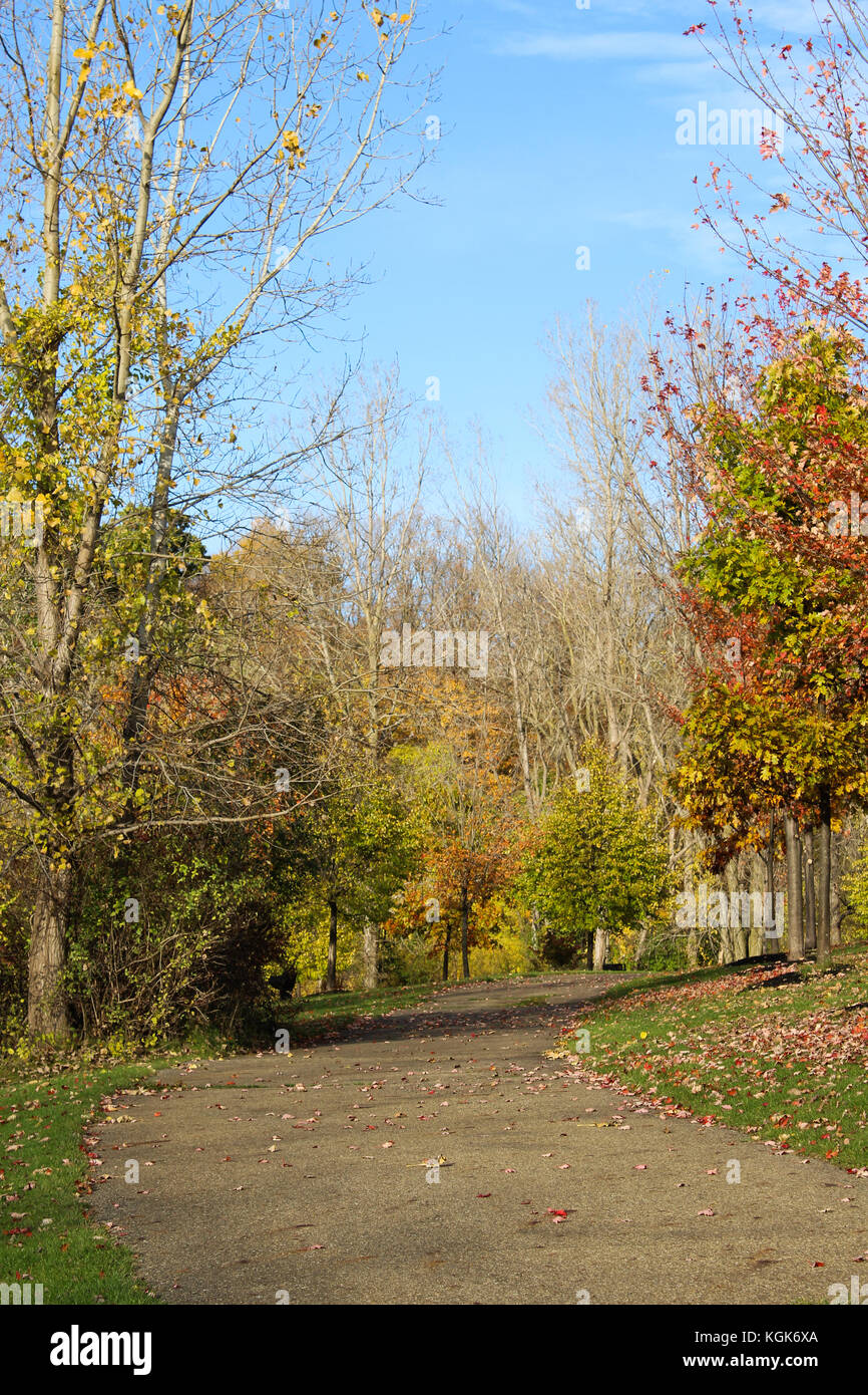 Foglie di autunno e colori su alberi in un parco nel midwestern Stato del Michigan Foto Stock
