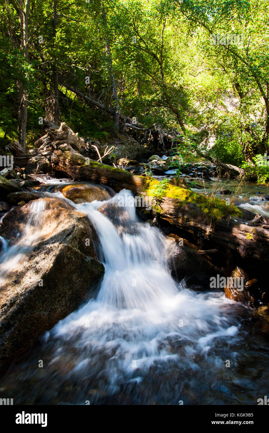 Cascata nel Parco Nazionale Aigüestortes (Pirenei catalani) Foto Stock