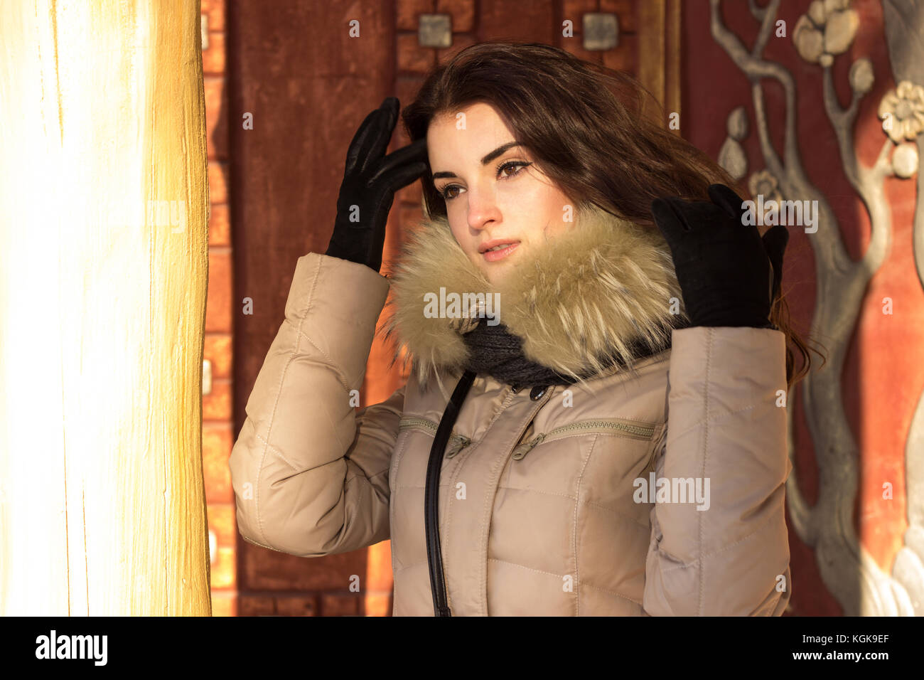 La bellezza della donna in inverno Foto Stock