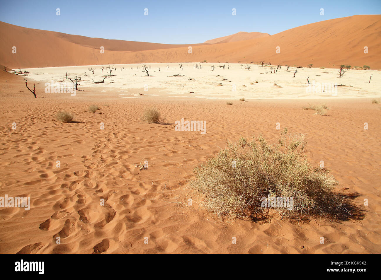 Vista di deadvlei, sossusvlei, nami naukluft national park, Namib Desert, Namibia. Foto Stock