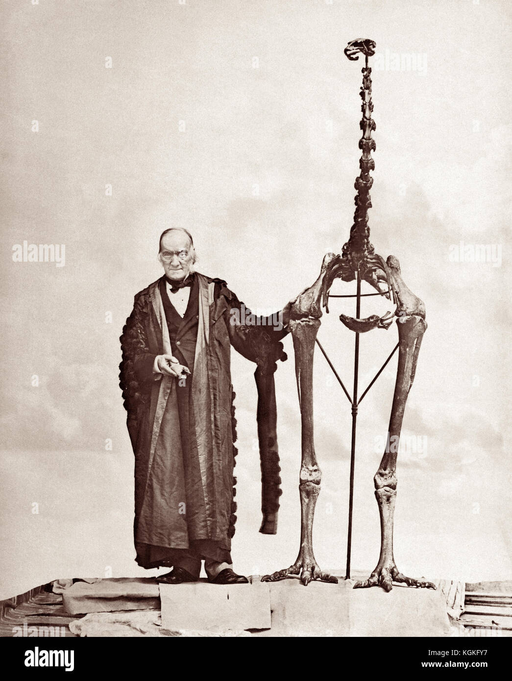 Sir Richard Owen KCB FRMS FRS (1804 - 1892) con un gigante di Moa scheletro, c1879. Owen è stato un biologo inglese, anatomista comparativo e paleontologo che era un avversario di Charles Darwin la teoria della selezione naturale. Egli è anche ricordato oggi per la coniatura della parola Dinosauria (da cui otteniamo dinosauro). Foto Stock