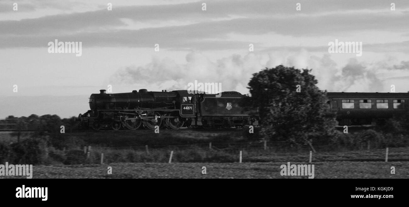 Nero 5 a Barnham Foto Stock