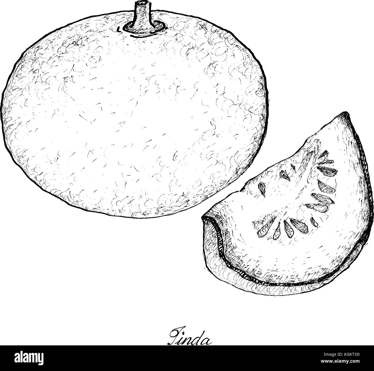 Frutta fresca, illustrazione di mano il bozzetto deliziosi fichi freschi o Ficus carica. Uno dei più apprezzati frutti nel mondo. Illustrazione Vettoriale