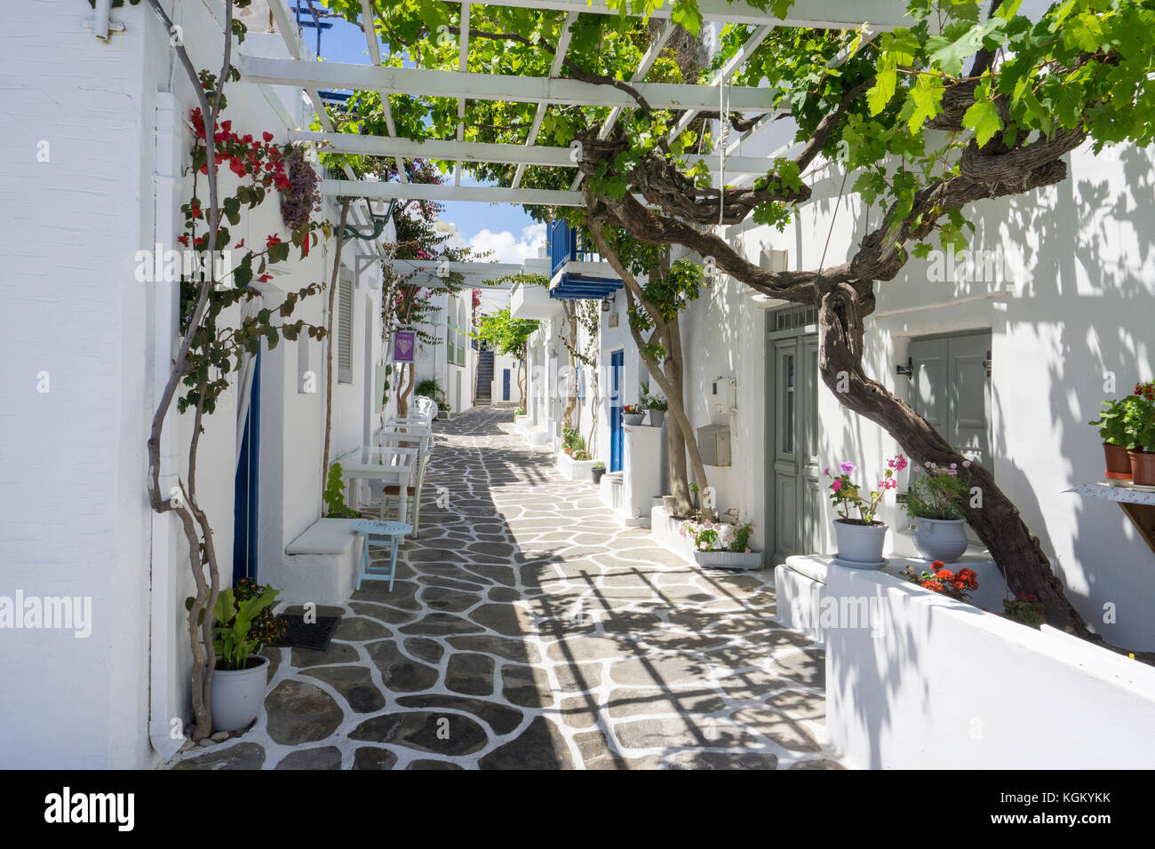 Vicolo stretto nella città vecchia di Naoussa, PAROS, CICLADI Grecia, Mare Mediterraneo, Europa Foto Stock
