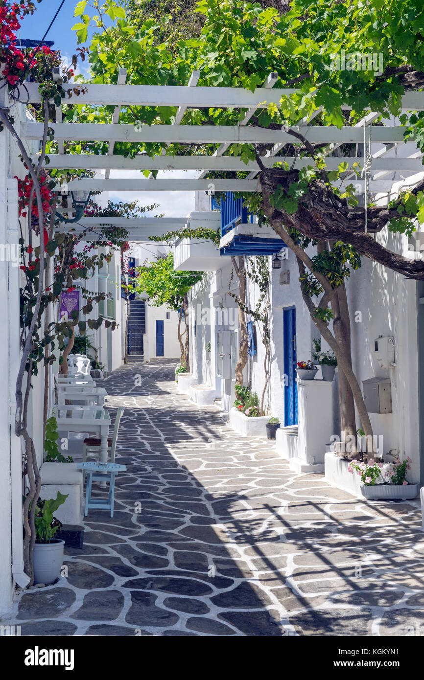Vicolo stretto nella città vecchia di Naoussa, PAROS, CICLADI Grecia, Mare Mediterraneo, Europa Foto Stock