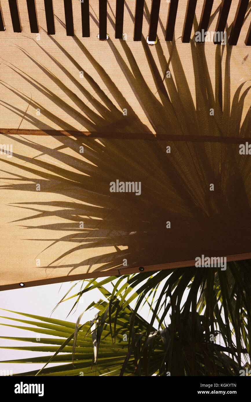 Close-up di tenda e alberi di palma contro sky Foto Stock
