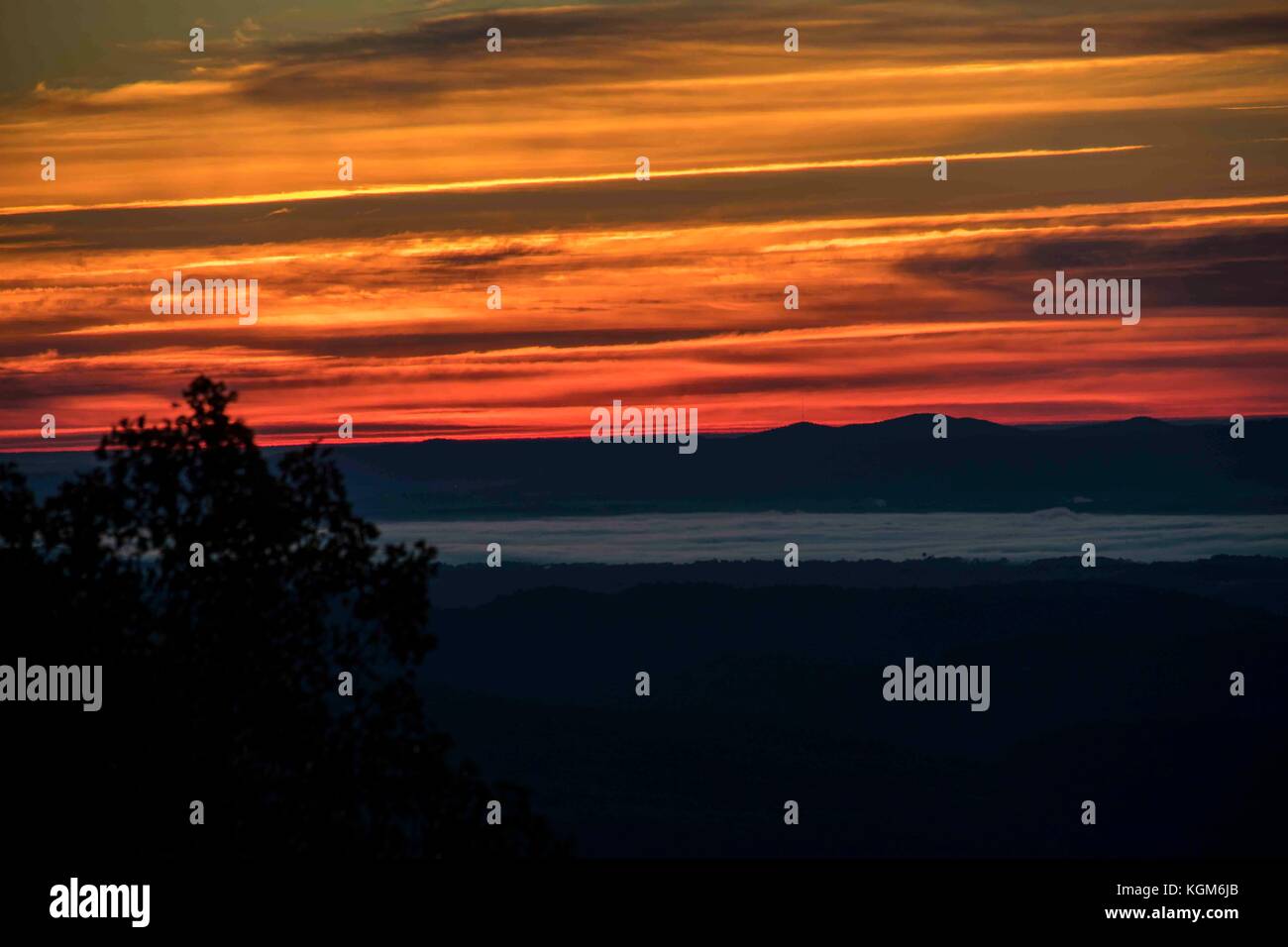 Caduta colorato sunrise in Blue Ridge Mountains del North Carolina. nebbia di mattina di valle. Foto Stock