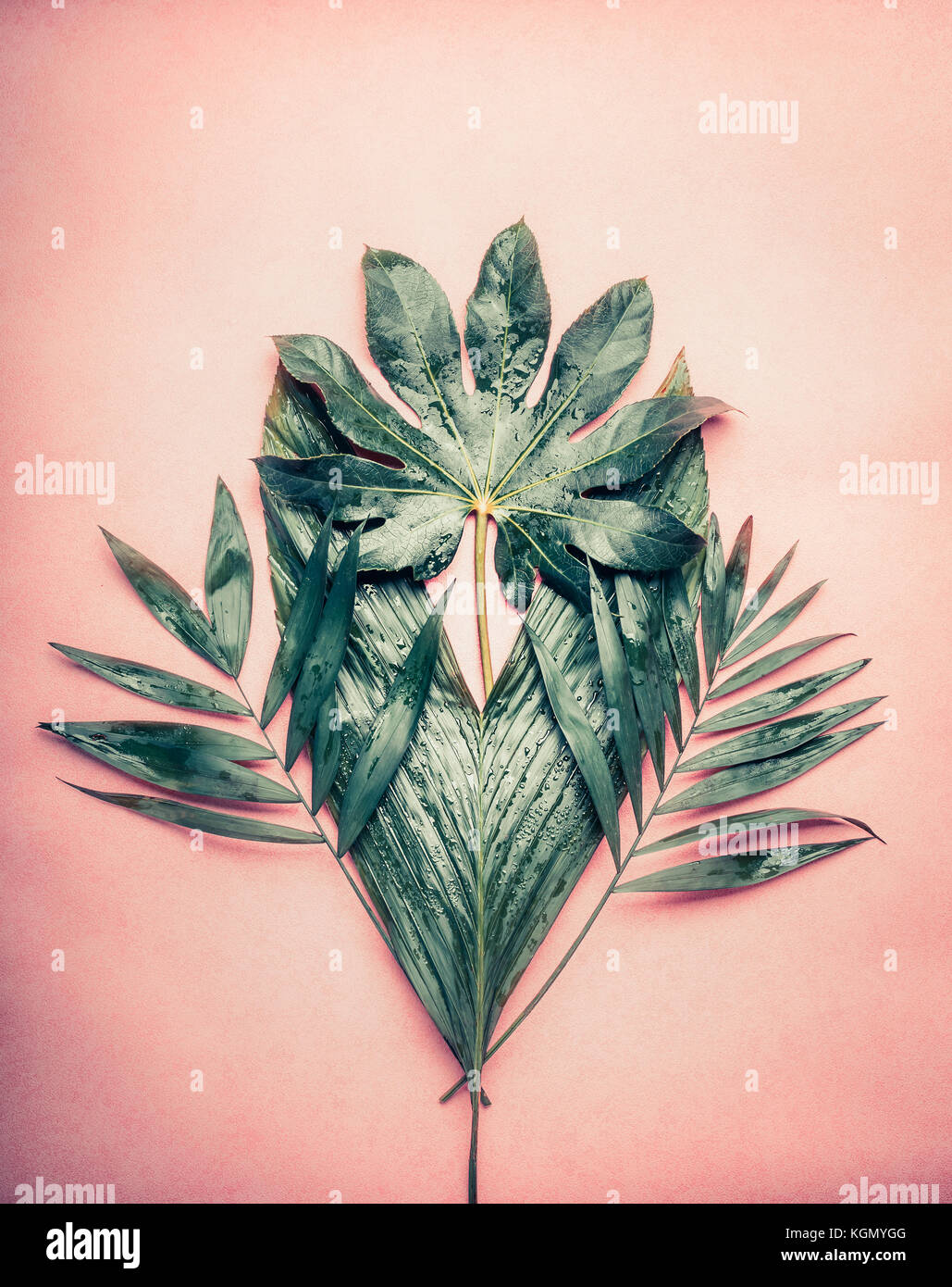 Creative mazzetto di vari tropical palm lascia sul rosa pastello, sfondo vista superiore Foto Stock