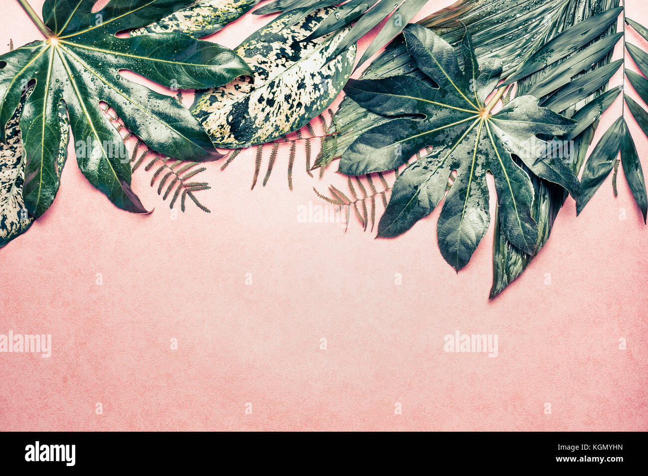 Natura confine con vari jungle lascia sul rosa pastello, sfondo vista superiore Foto Stock