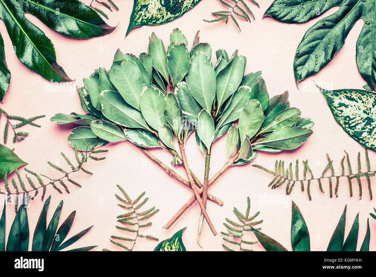 Layout creativo fatto di palme tropicali e foglie di felce e rami di rosa pastello sfondo, vista dall'alto, laici piatta Foto Stock
