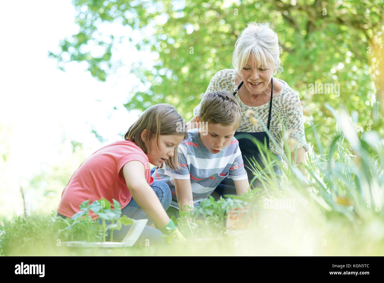 Donna anziana avendo divertimento giardinaggio con nipotini Foto Stock