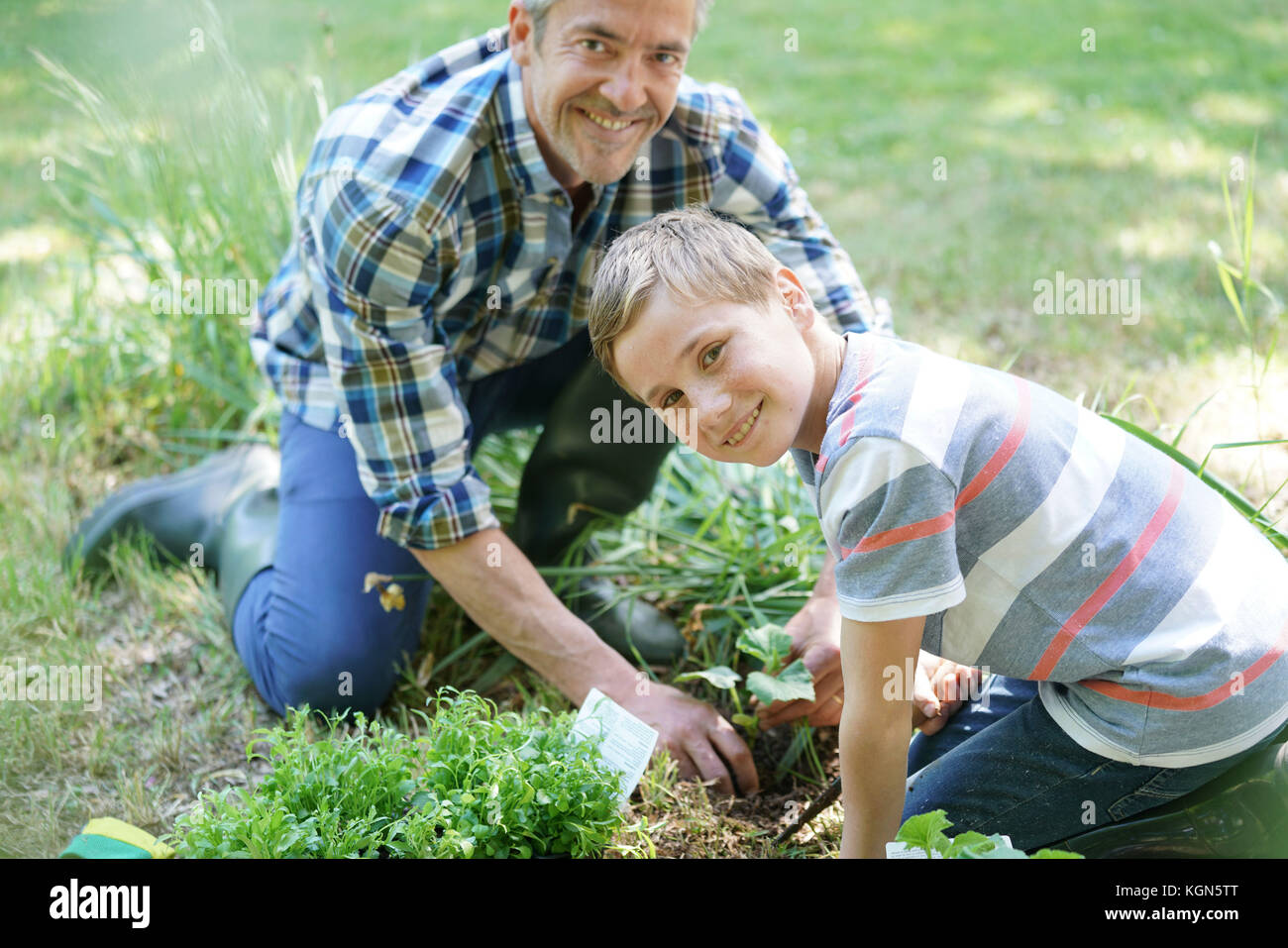 Padre figlio di insegnamento come piantare in un orto Foto Stock