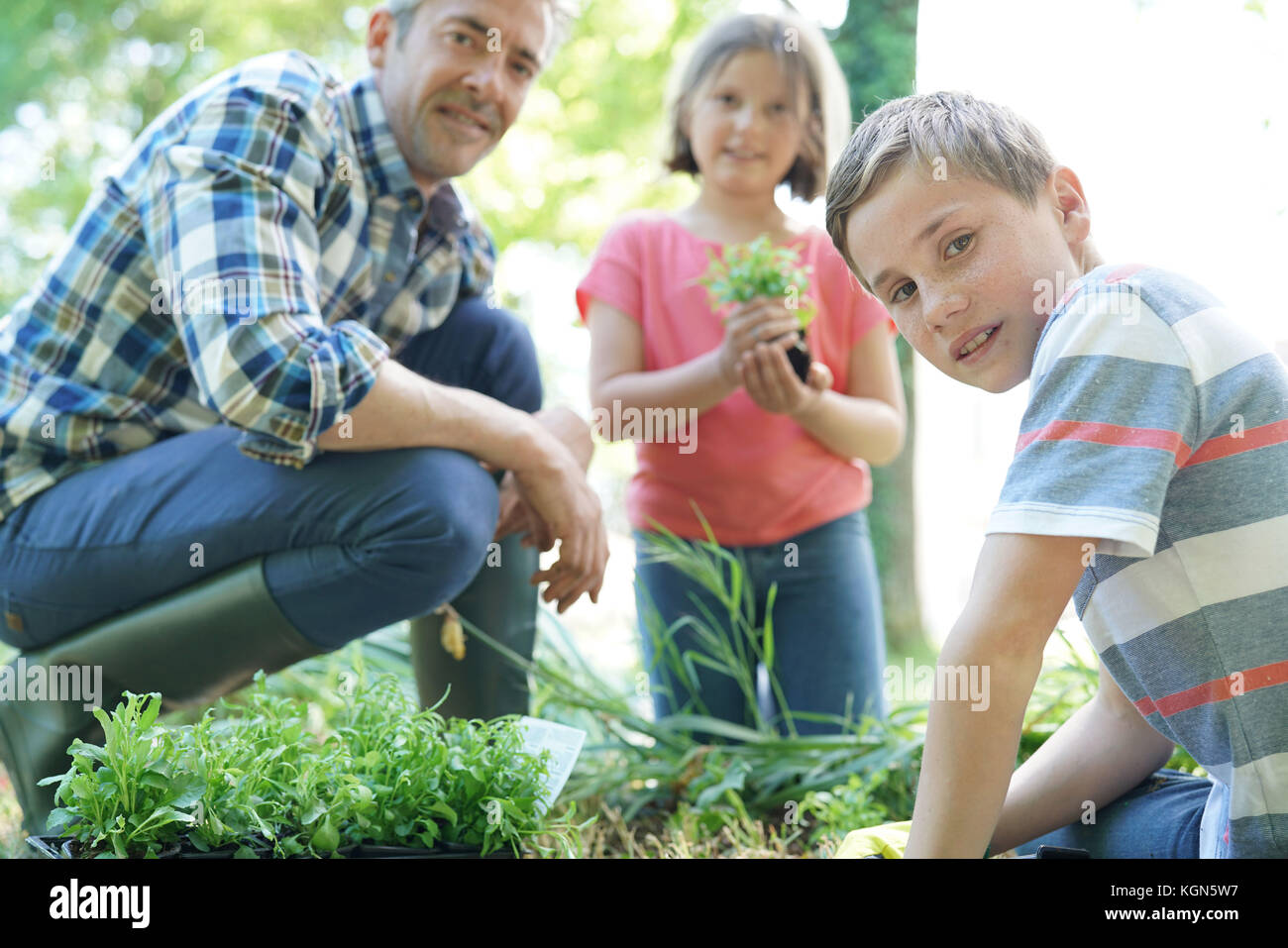 Aiutando i ragazzi a papà con il giardinaggio Foto Stock