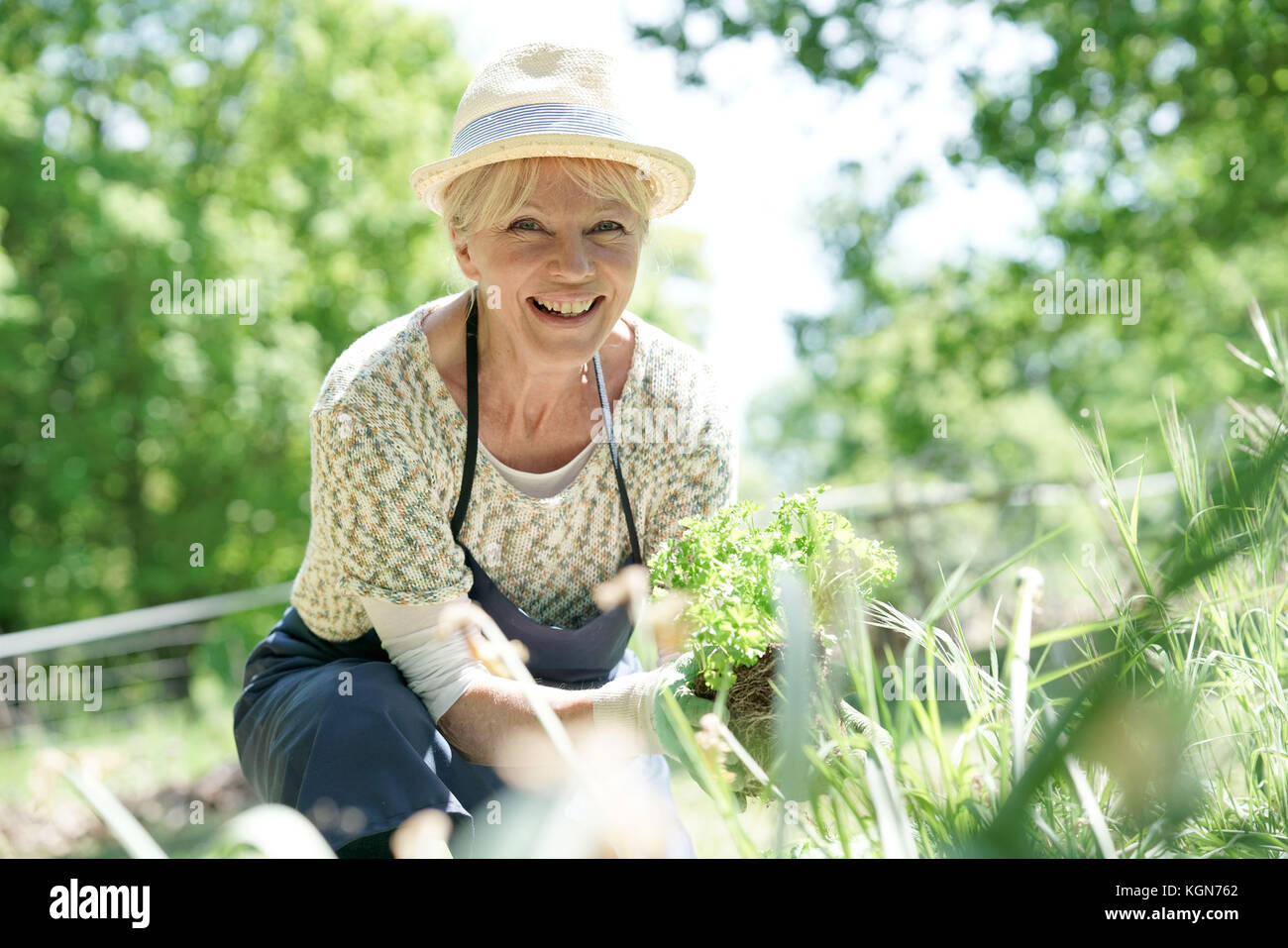 Senior giardinaggio donna sulla splendida giornata di primavera Foto Stock