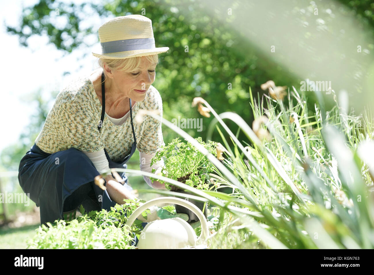 Senior giardinaggio donna sulla splendida giornata di primavera Foto Stock