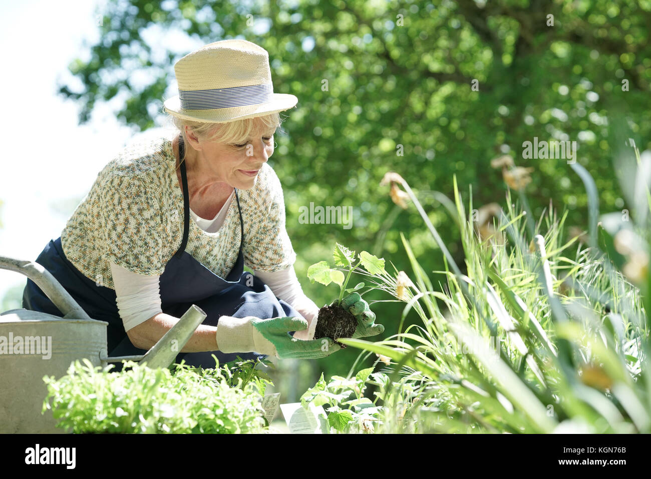 Senior giardinaggio donna sulla splendida giornata di primavera Foto Stock