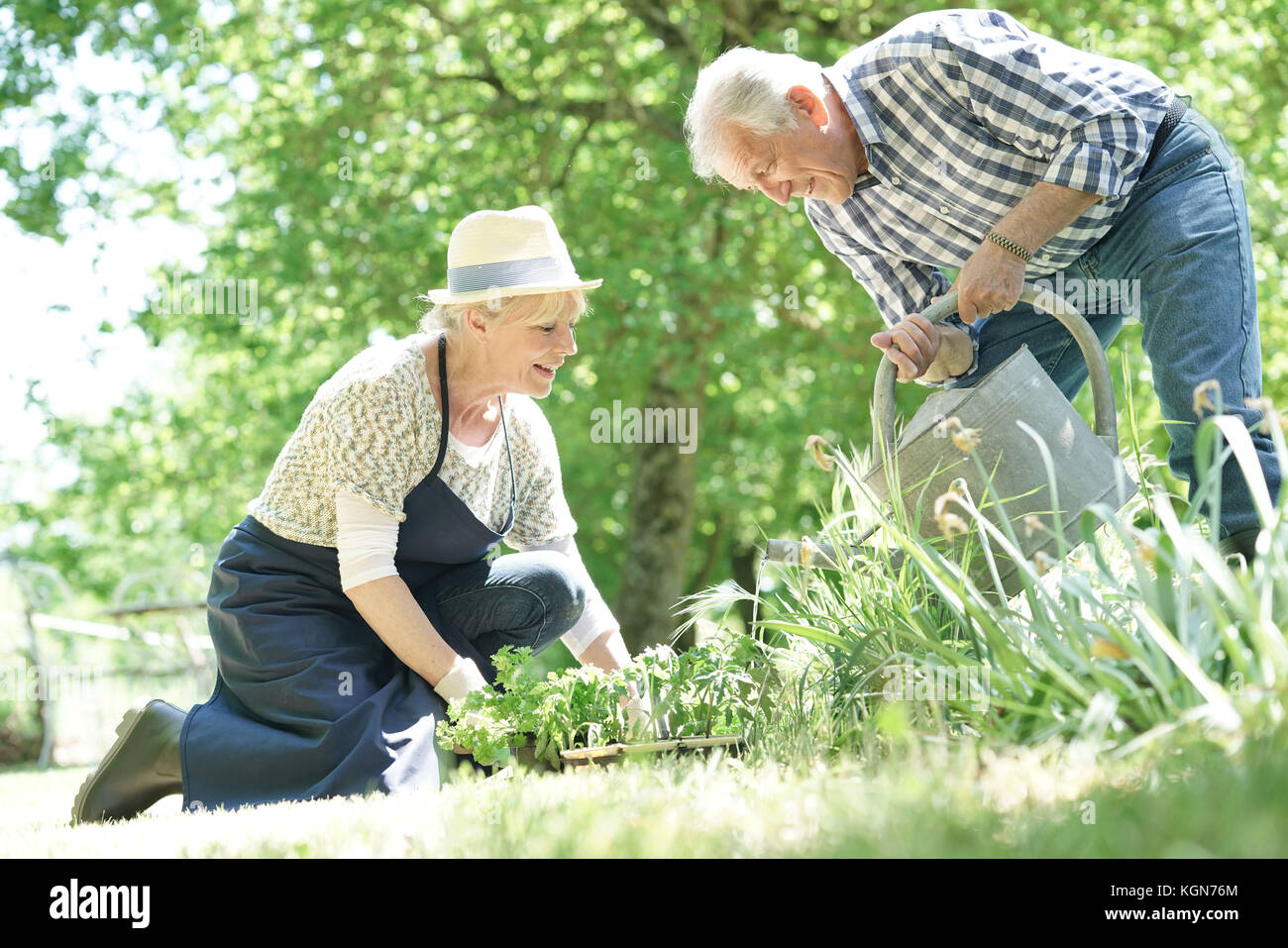 Coppia senior giardinaggio insieme Foto Stock