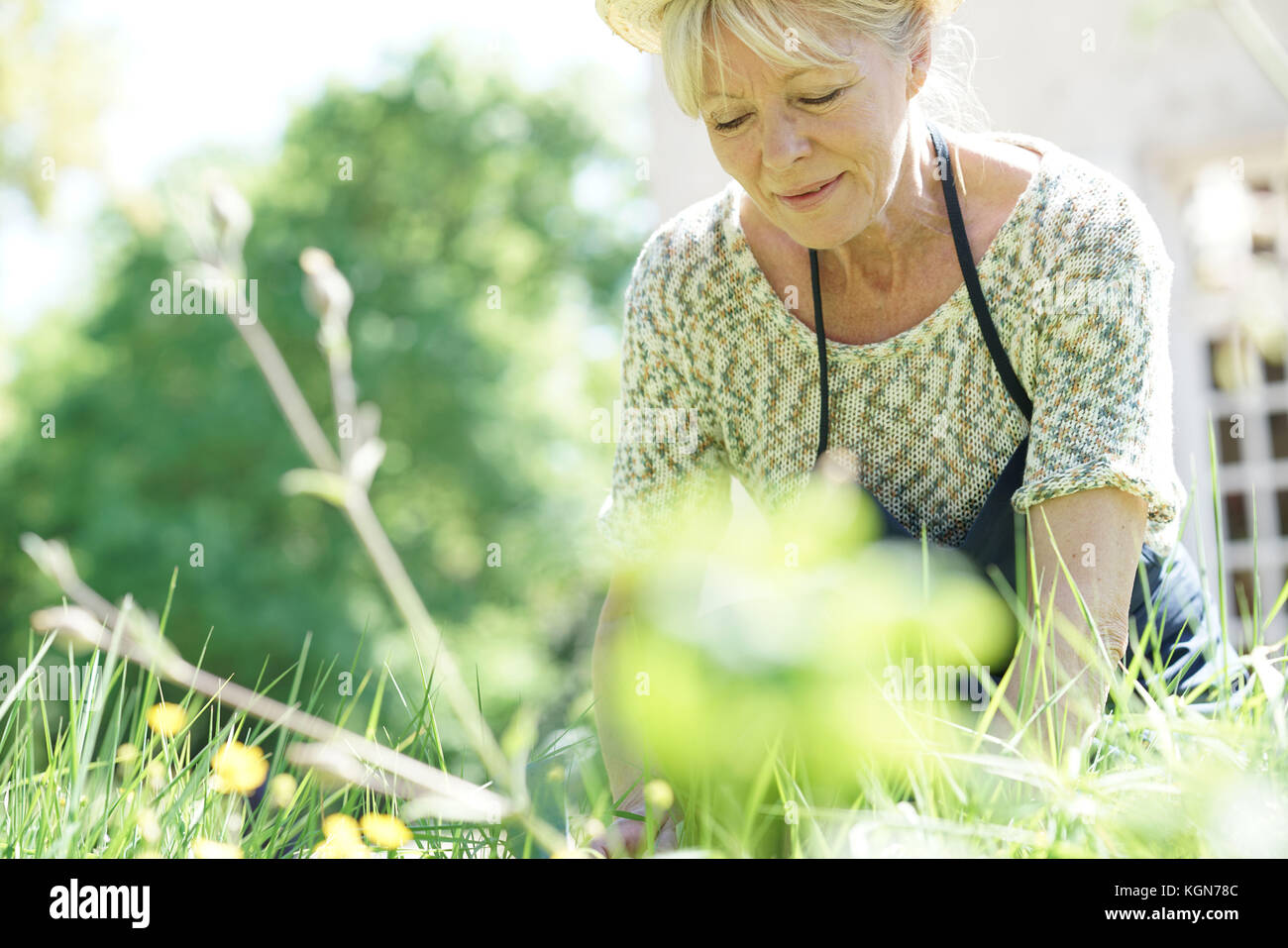 Senior giardinaggio donna sulla splendida giornata di primavera Foto Stock