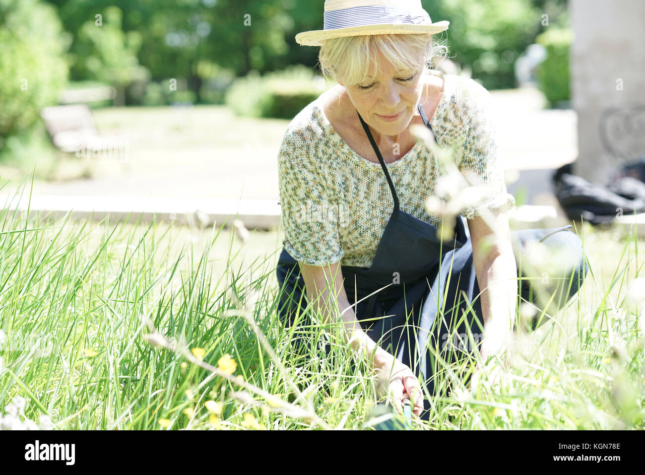 Senior giardinaggio donna sulla splendida giornata di primavera Foto Stock