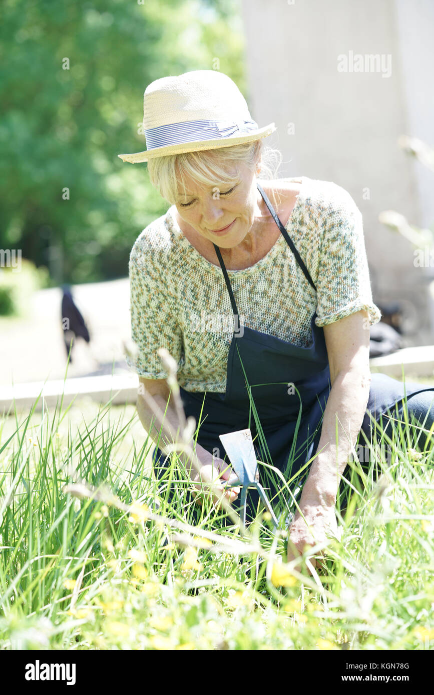 Senior giardinaggio donna sulla splendida giornata di primavera Foto Stock