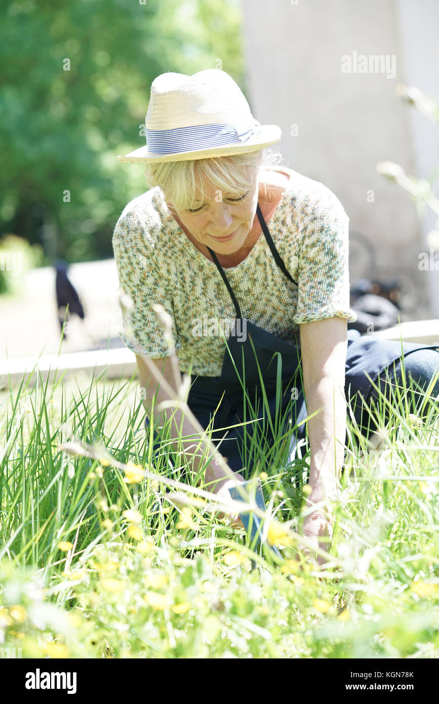 Senior giardinaggio donna sulla splendida giornata di primavera Foto Stock