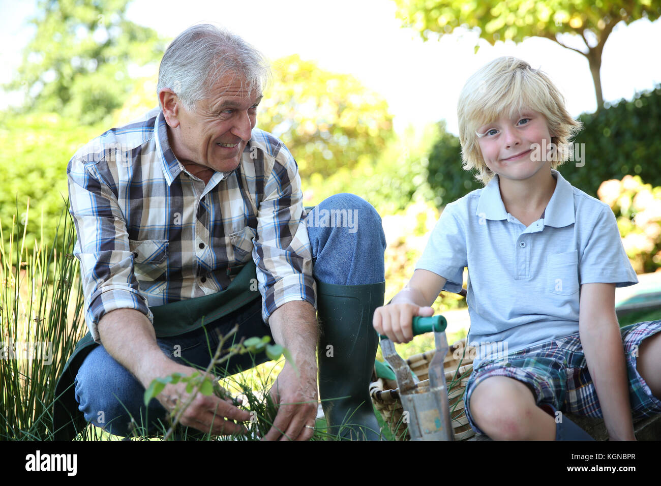 Il nonno con il nipote del giardinaggio insieme nel periodo estivo Foto Stock