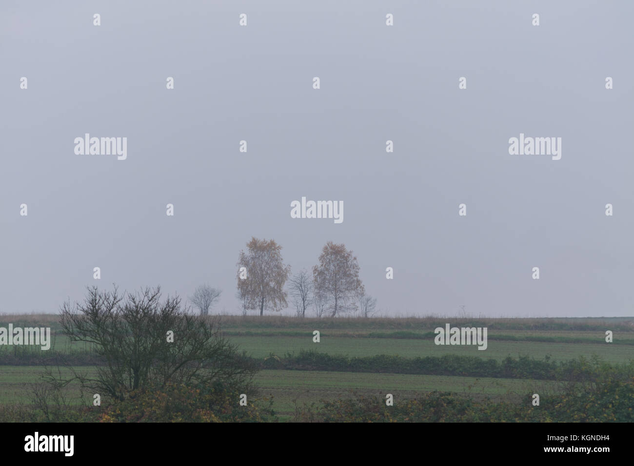 Natura 2000, Głębowice, Polonia, l'Europa. 09 novembre 2017 un brutto autunno nebbioso giorno di novembre. No sun, grigio, raffreddare e triste giorno. Meteo scoraggia svago attivo. Credito: w124merc / Alamy Live News Foto Stock