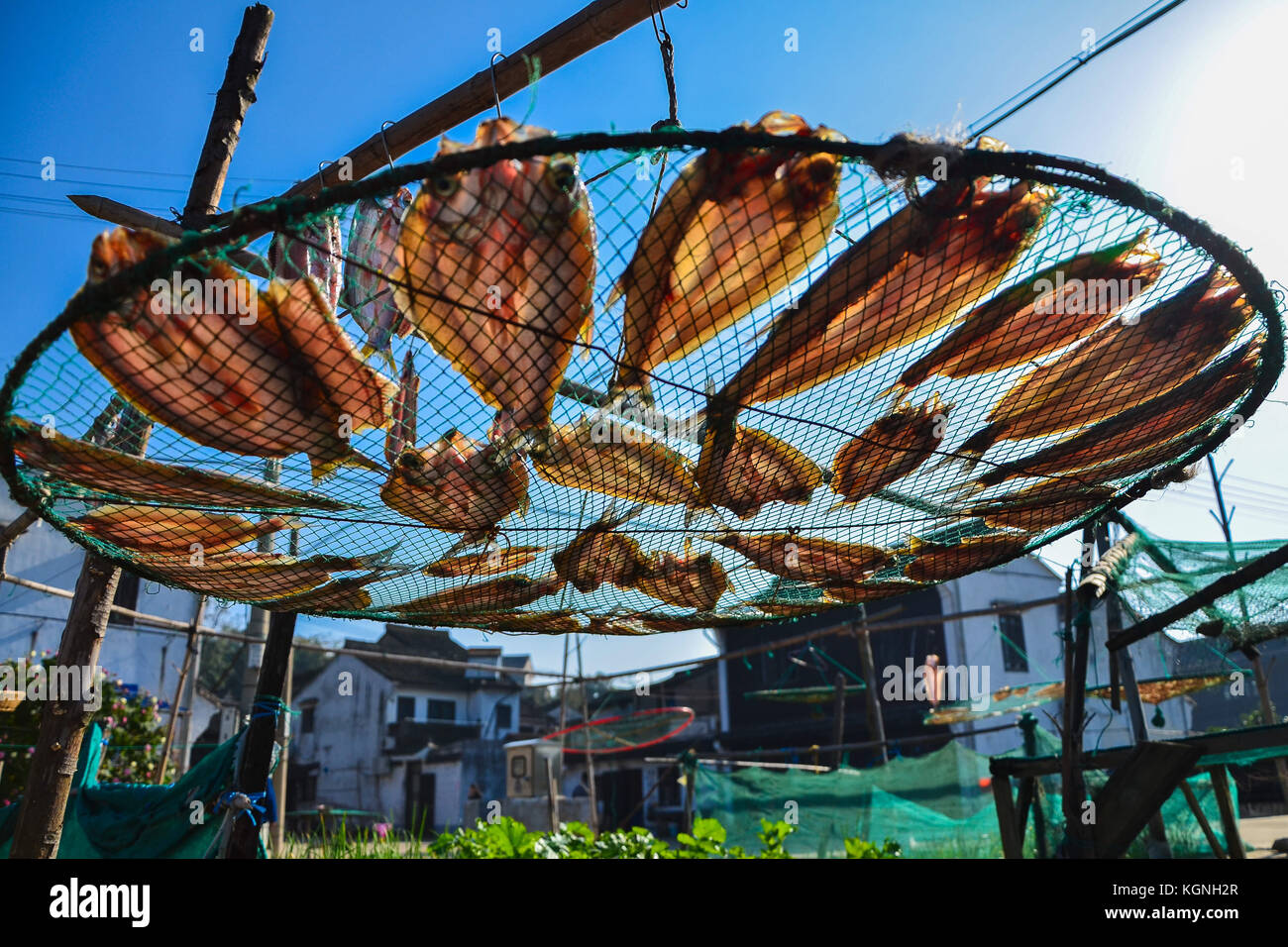 Ningbo, Cina. 9 nov, 2017. aria-pesci secchi è un tipo di cibo tradizionale di Ningbo, Cina orientale della provincia di Zhejiang. gli abitanti dei villaggi locali di solito aria il pesce all'aperto all'inizio dell'inverno. Credito: sipa asia/zuma filo/alamy live news Foto Stock