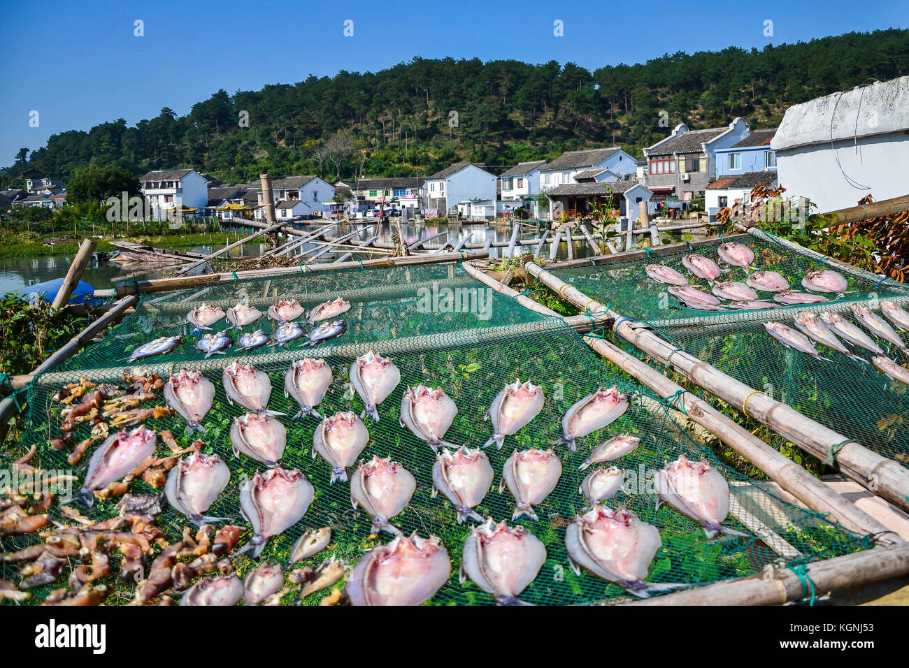Ningbo, Cina. 9 nov, 2017. aria-pesci secchi è un tipo di cibo tradizionale di Ningbo, Cina orientale della provincia di Zhejiang. gli abitanti dei villaggi locali di solito aria il pesce all'aperto all'inizio dell'inverno. Credito: sipa asia/zuma filo/alamy live news Foto Stock