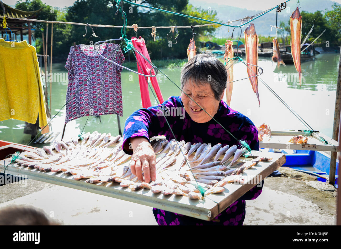 Ningbo, Cina. 9 nov, 2017. aria-pesci secchi è un tipo di cibo tradizionale di Ningbo, Cina orientale della provincia di Zhejiang, Novembre 9th, 2017. gli abitanti dei villaggi locali di solito aria il pesce all'aperto all'inizio dell'inverno. Credito: sipa asia/zuma filo/alamy live news Foto Stock