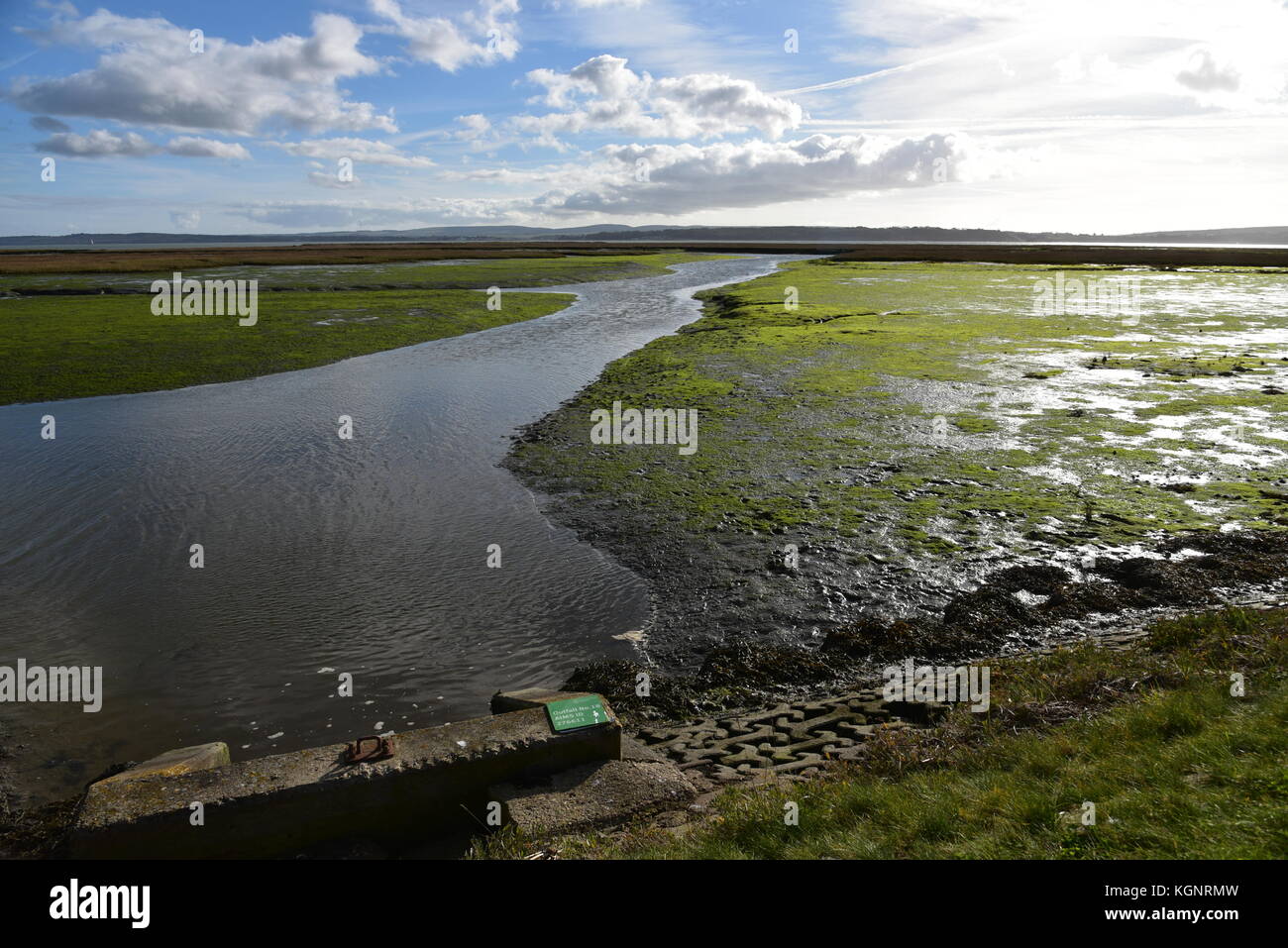 Hampshire. Decimo nov, 2017. uk meteo. lymington e paludi keyhaven natura locale riserva su una soleggiata giornata autunnale hampshire, Regno Unito. Decimo nov, 2017. Credito: ajit stoppino/alamy live news Foto Stock