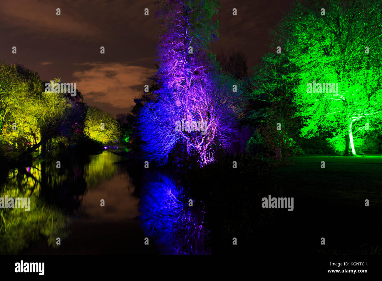 Syon Park, London, Regno Unito. Decimo Nov, 2017. Un sentiero conduce i visitatori attraverso gli illuminati Syon Park con splendidamente illuminate alberi, il lago, Syon House e l' Orangerie con la sua spettacolare laser show Credito: Imageplotter News e sport/Alamy Live News Foto Stock