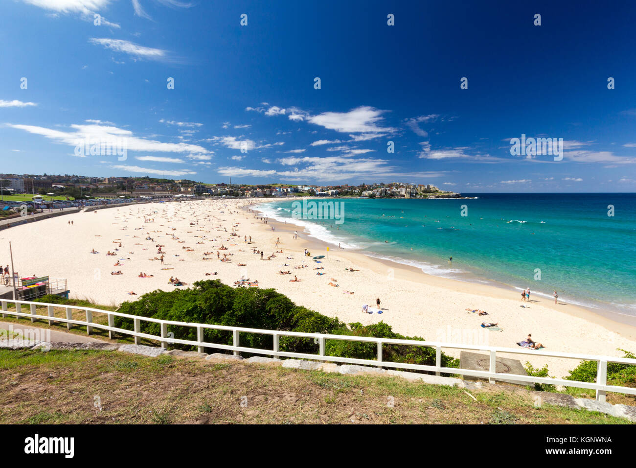 La spiaggia di Bondi in una calda giornata di sole, Foto Stock