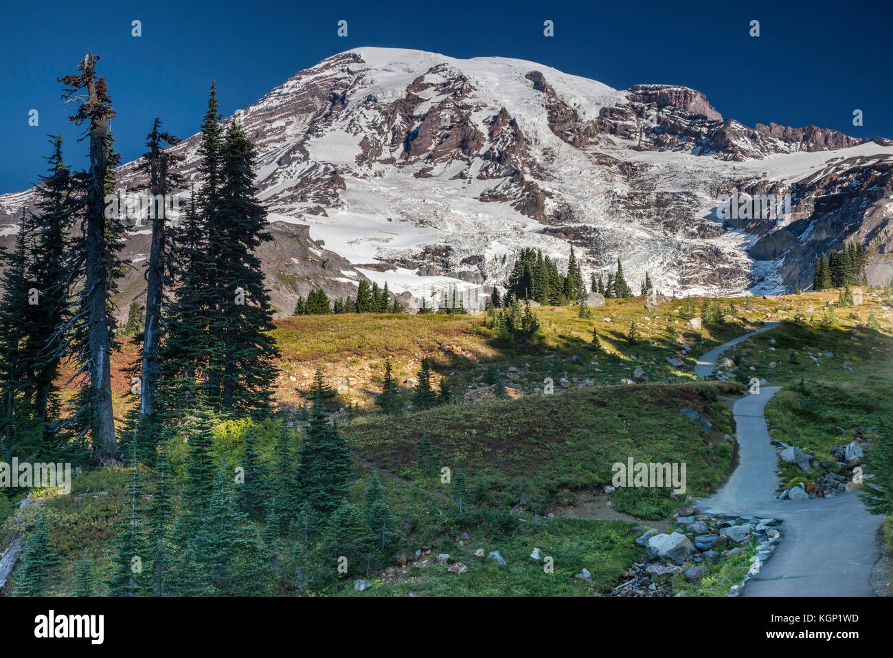 Il Monte Rainier, da Skyline Trail, a fine settembre il Parco Nazionale del Monte Rainier, nello stato di Washington, USA Foto Stock