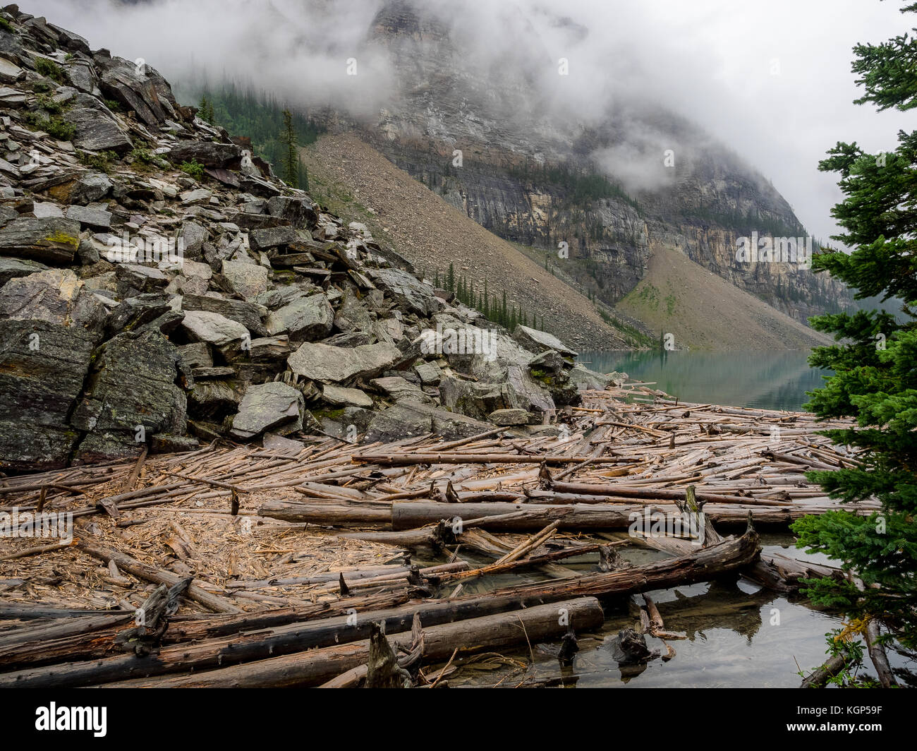 Log Jam presso il Lago Moraine e il Parco Nazionale di Banff, Alberta Canada Foto Stock