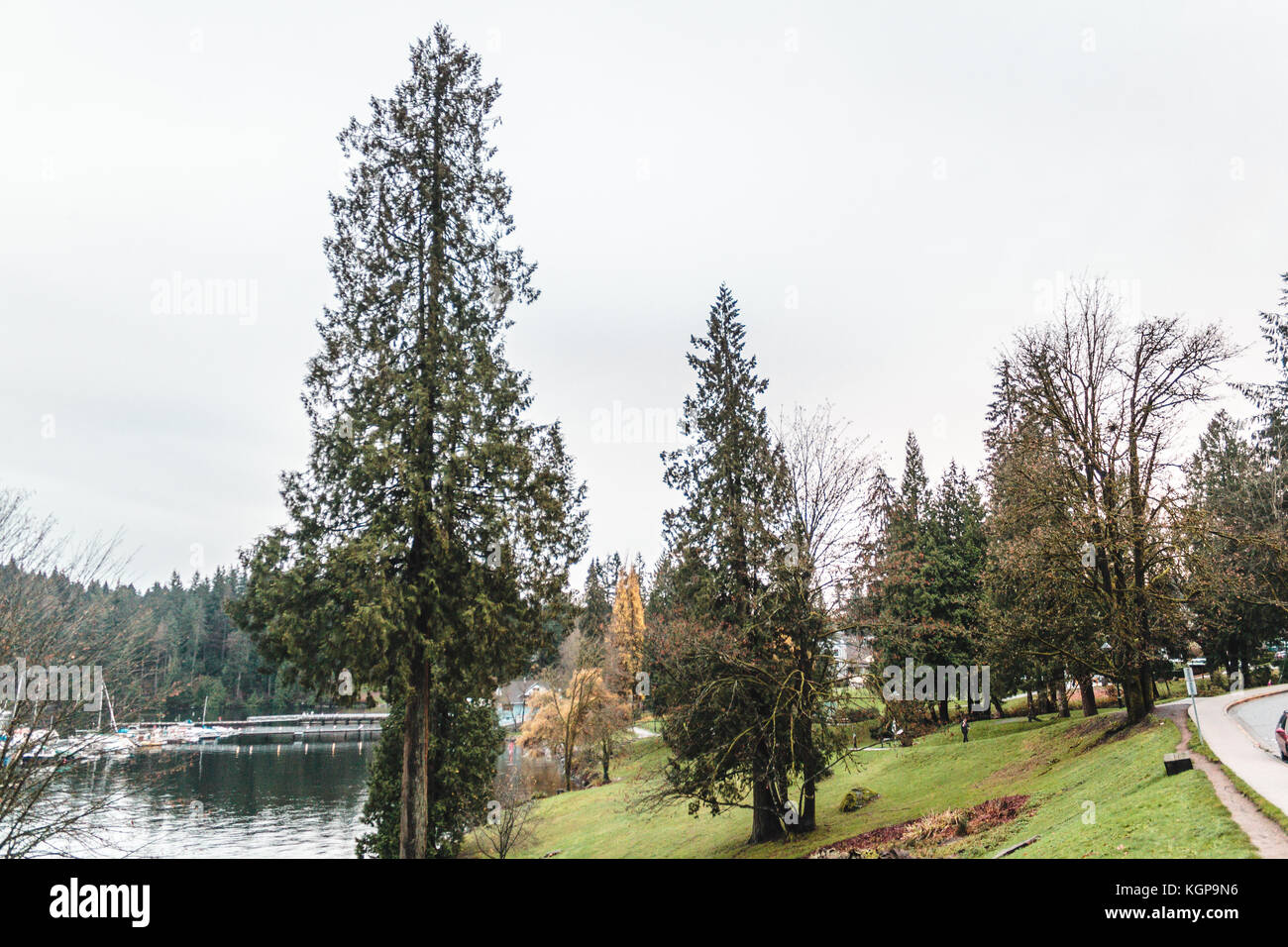 Foto di Deep Cove in North Vancouver, BC, Canada Foto Stock
