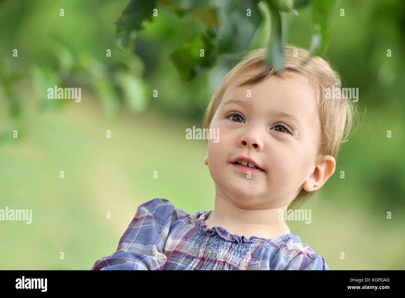 Ritratto di carino bambina la raccolta di frutti da albero Foto Stock