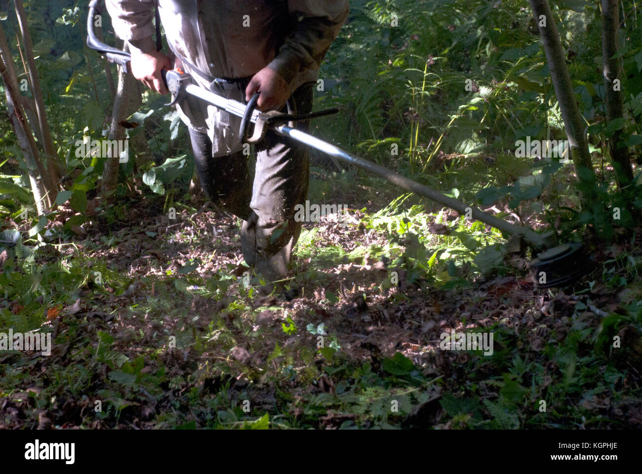 La falciatura di erba.agricoltore giardino sfalcio e pulizia. Foto Stock