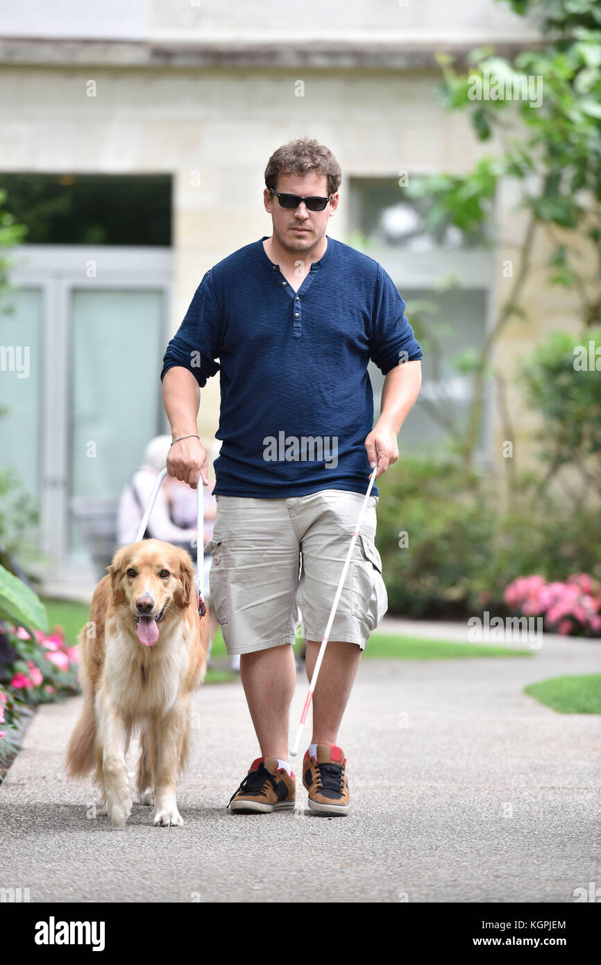 Cieco passeggiate nel parco con l'assistenza del cane Foto Stock