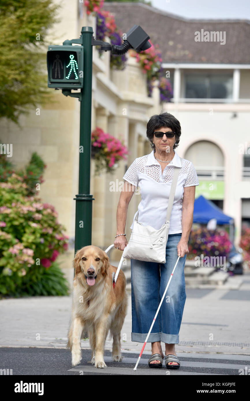 Senior donna cieca attraversando la strada con aiuto del cane guida Foto Stock