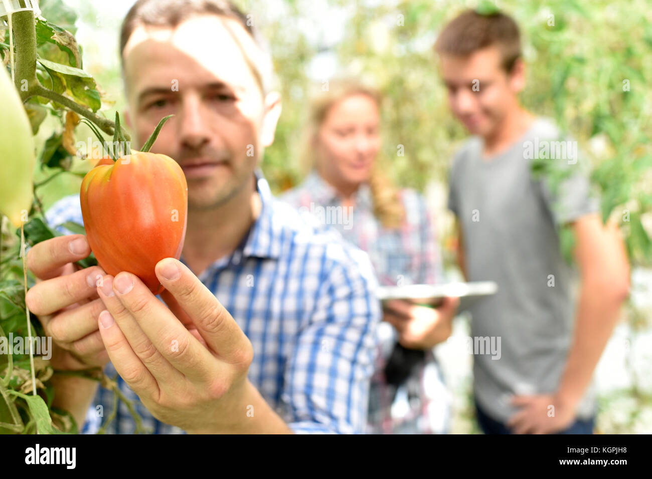 Ritratto di giardiniere del mercato in serra Foto Stock