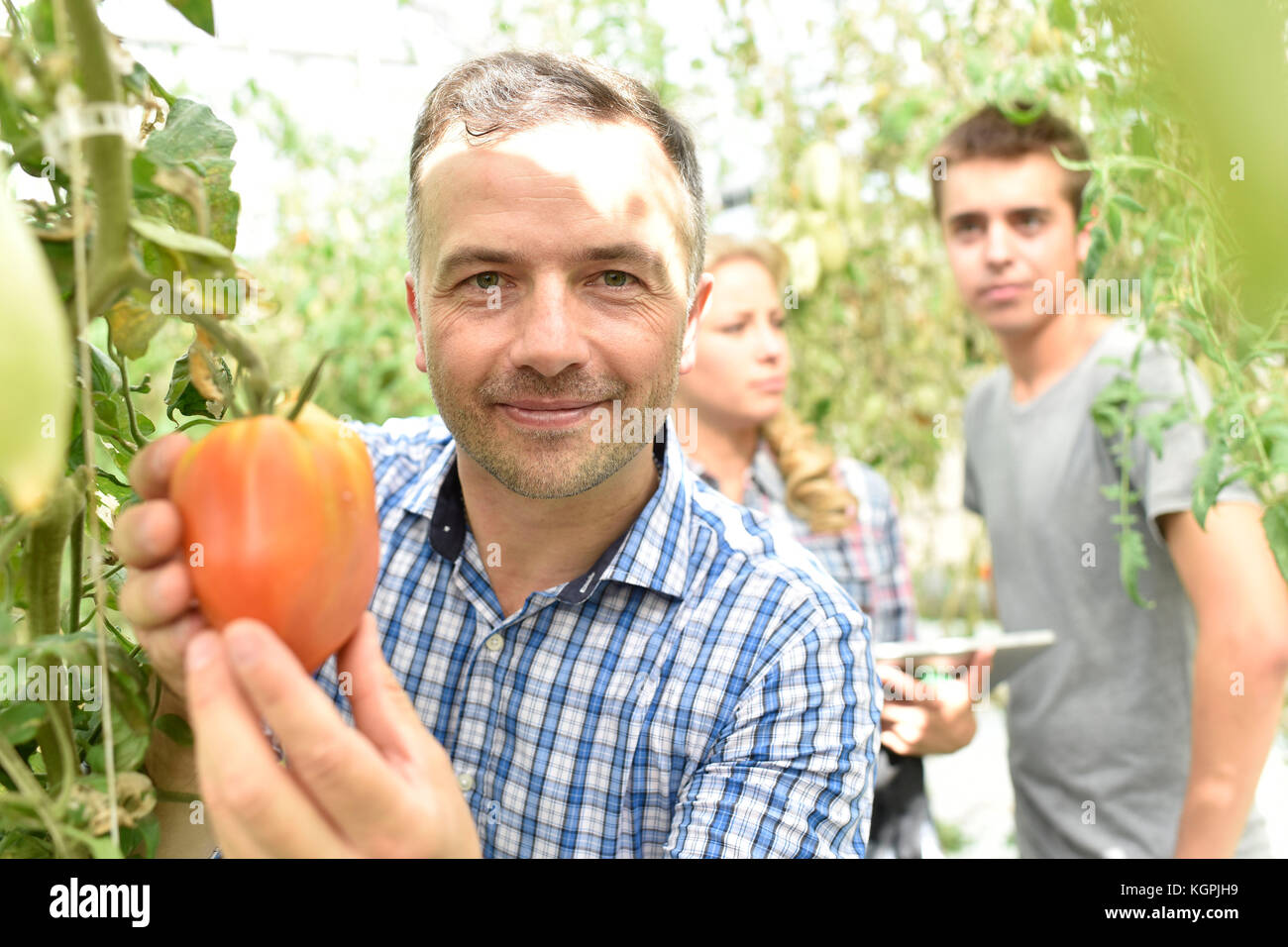 Ritratto di giardiniere del mercato in serra Foto Stock