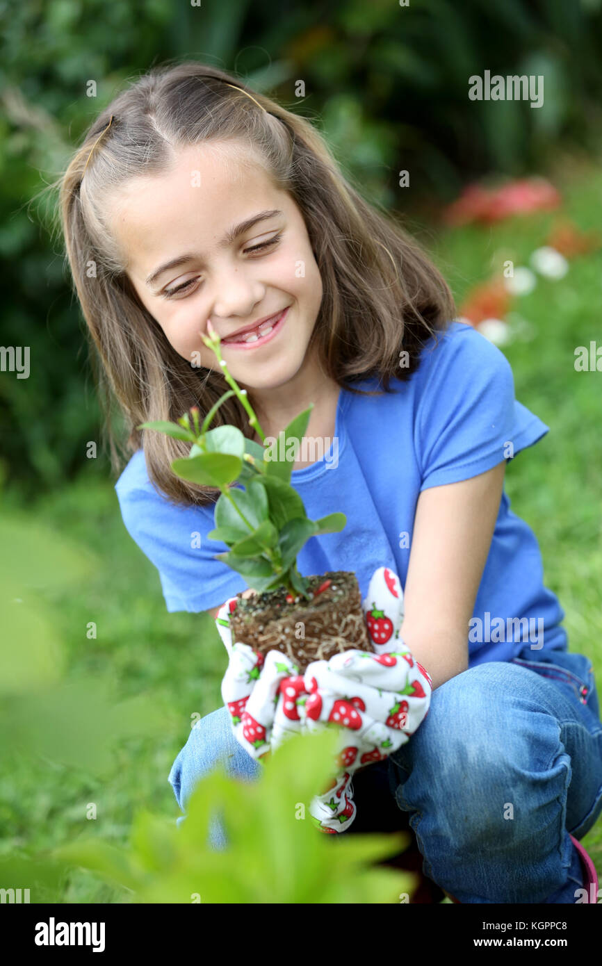 Bambina azienda impianto pronto per essere collegato a terra Foto Stock